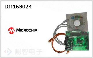 DM163024