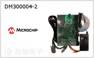 DM300004-2