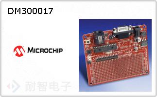 DM300017
