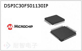 DSPIC30F501130IP