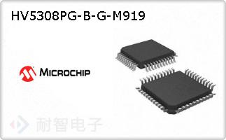 HV5308PG-B-G-M919