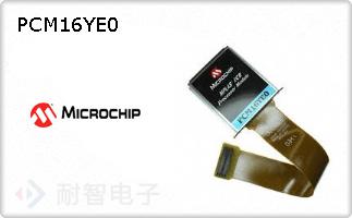 PCM16YE0