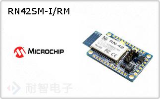 RN42SM-I/RM