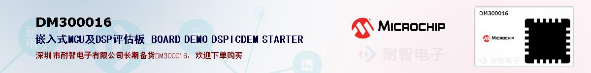 DM300016�ı��ۺͼ�������