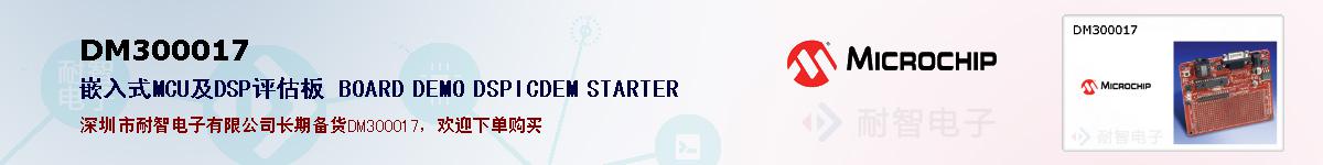 DM300017�ı��ۺͼ�������