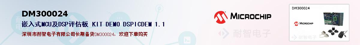 DM300024�ı��ۺͼ�������