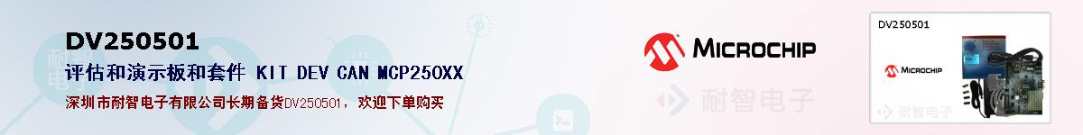 DV250501�ı��ۺͼ�������