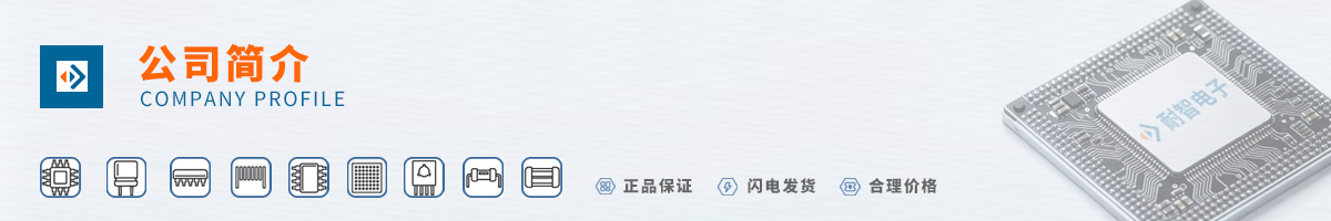 Microchip(΢о)��˾����