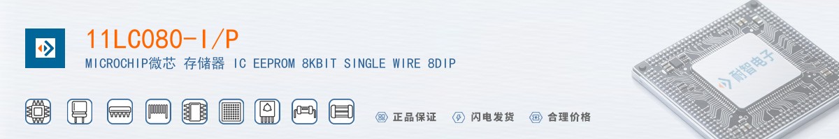 11LC080-I/P������