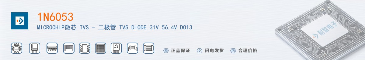 1N6053������