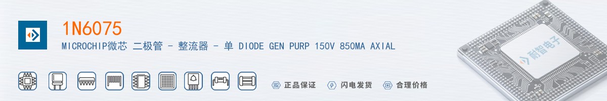 1N6075������