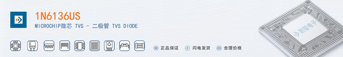 1N6136US������