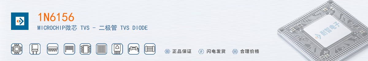 1N6156������