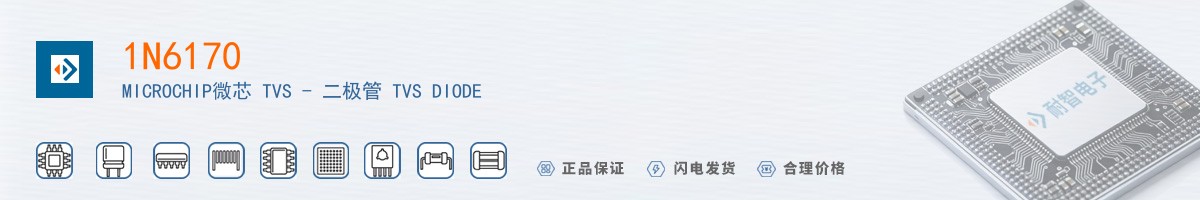 1N6170������