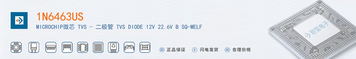 1N6463US������