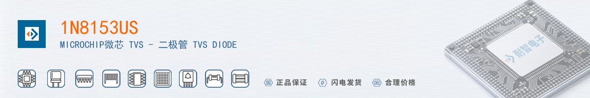 1N8153US������