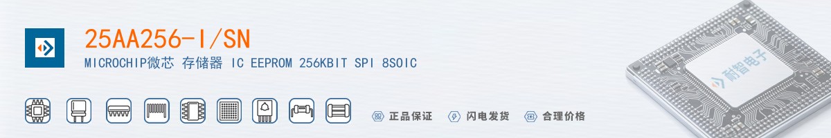 25AA256-I/SN������