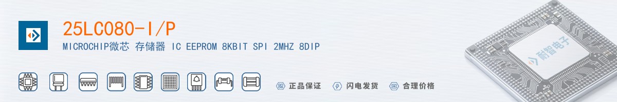 25LC080-I/P������