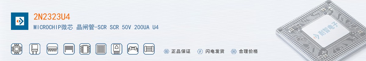 2N2323U4������