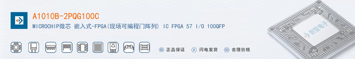 A1010B-2PQG100C������