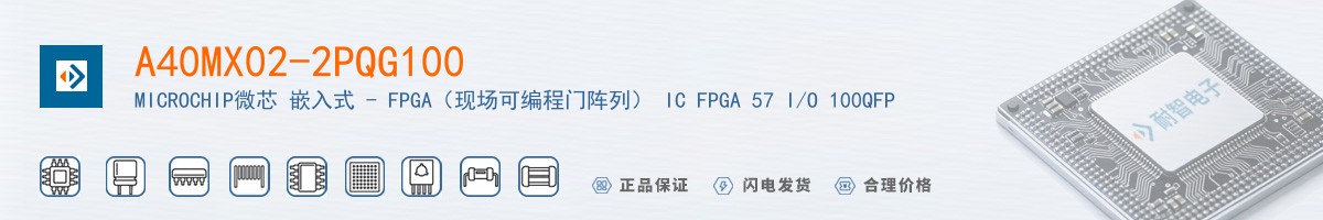 A40MX02-2PQG100������