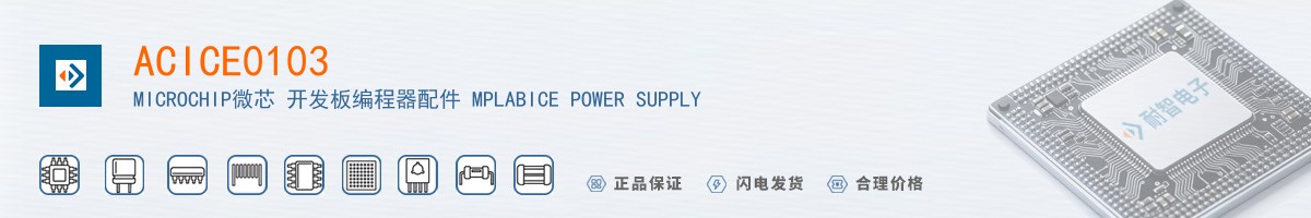 ACICE0103������