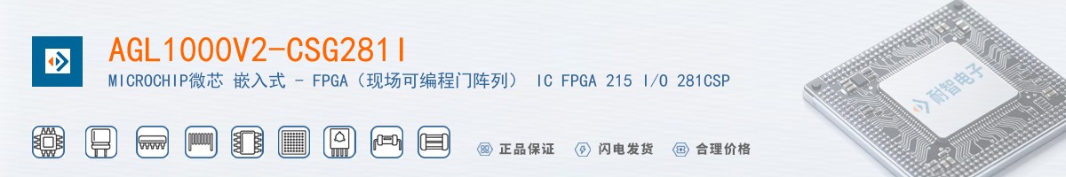 AGL1000V2-CSG281I������