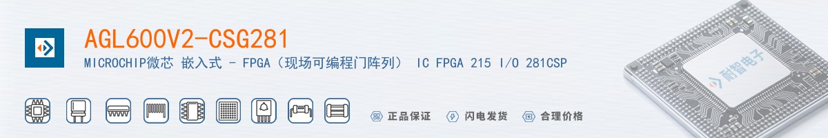 AGL600V2-CSG281������