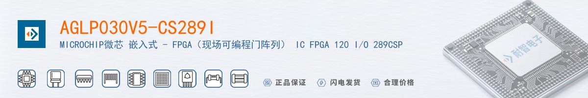 AGLP030V5-CS289I������