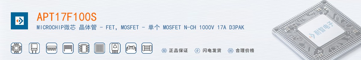 APT17F100S������