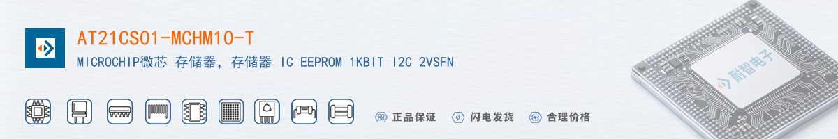 AT21CS01-MCHM10-T������