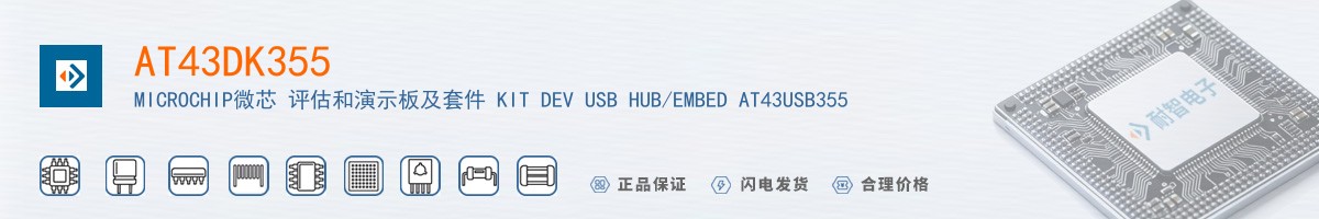 AT43DK355������