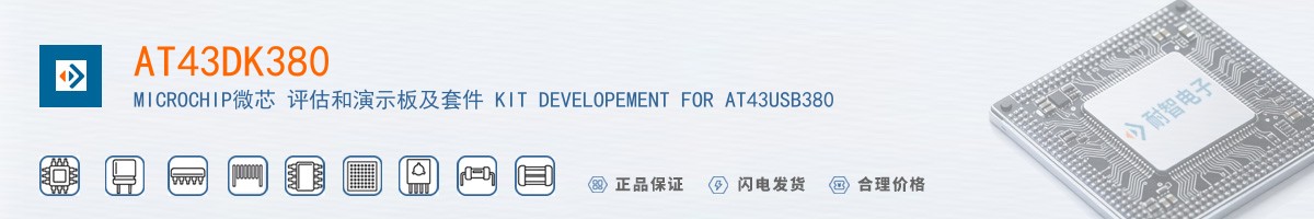 AT43DK380������