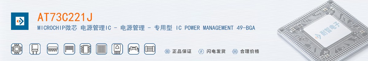 AT73C221J������