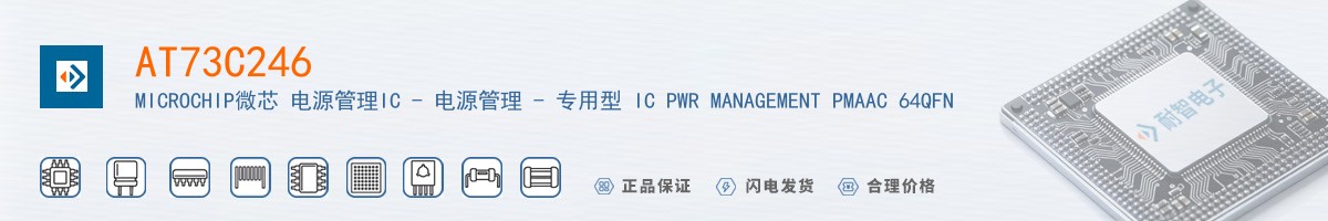 AT73C246������