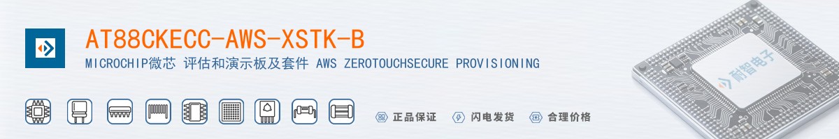 AT88CKECC-AWS-XSTK-B������