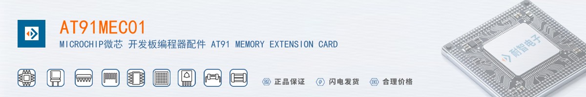 AT91MEC01������