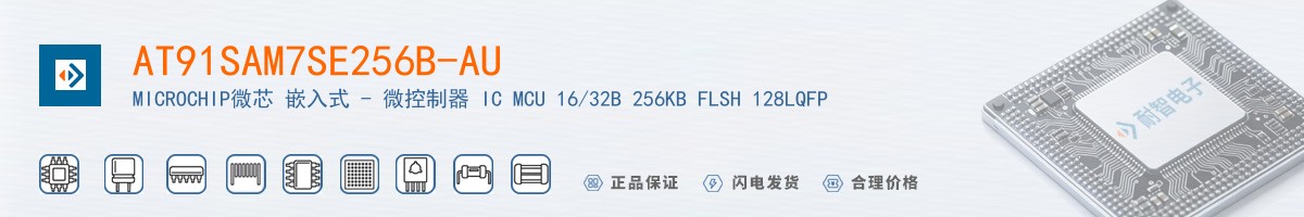 AT91SAM7SE256B-AU������
