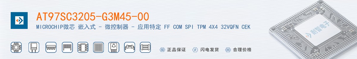 AT97SC3205-G3M45-00������