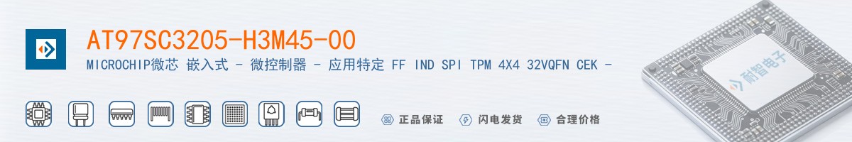 AT97SC3205-H3M45-00������