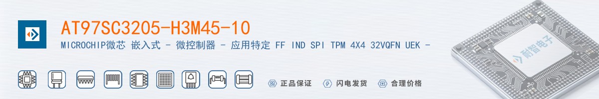AT97SC3205-H3M45-10������