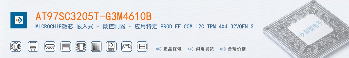 AT97SC3205T-G3M4610B������