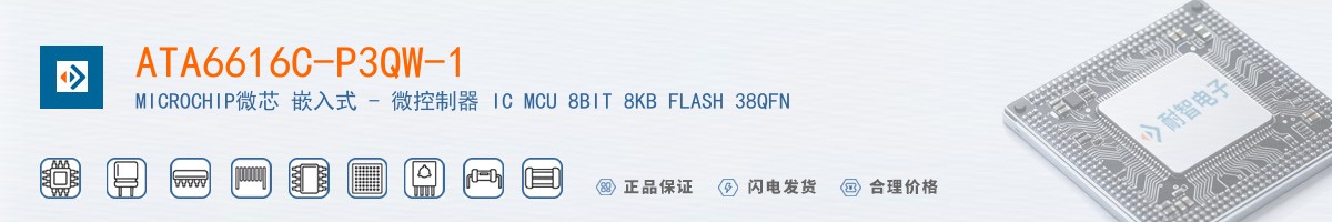 ATA6616C-P3QW-1������