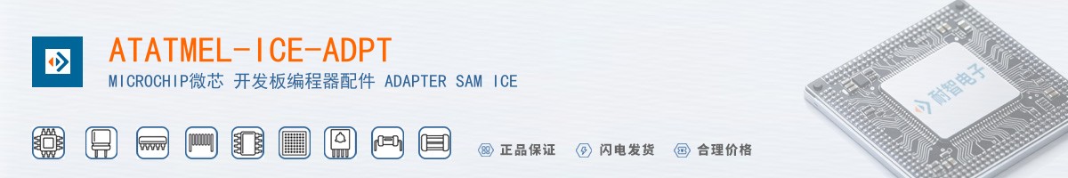 ATATMEL-ICE-ADPT������