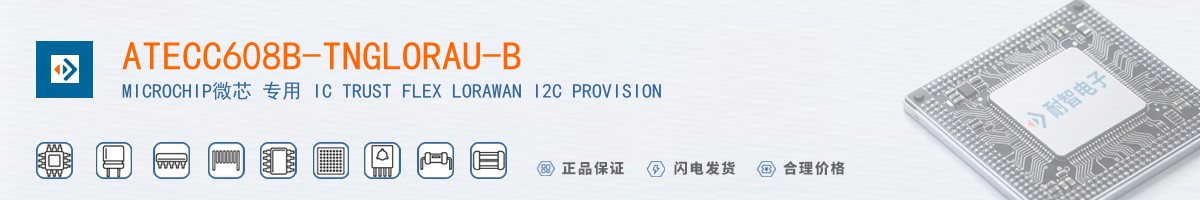 ATECC608B-TNGLORAU-B������
