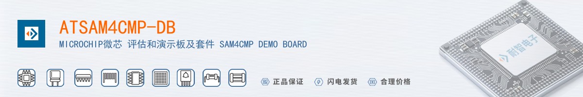 ATSAM4CMP-DB������