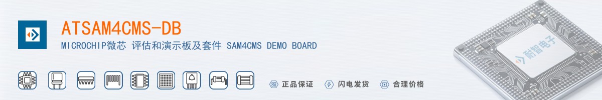 ATSAM4CMS-DB������