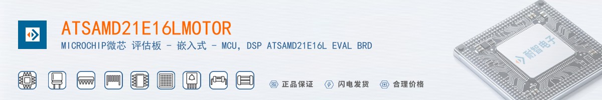 ATSAMD21E16LMOTOR������