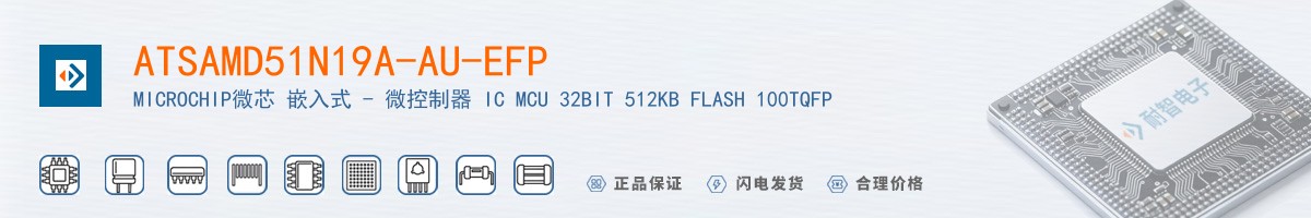 ATSAMD51N19A-AU-EFP������