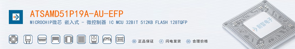 ATSAMD51P19A-AU-EFP������